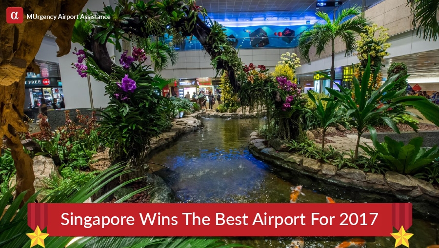 best airport in the world, best airport, singapore airport, singapore changi airport, best airport singapore airport, best airport singapore changi airport